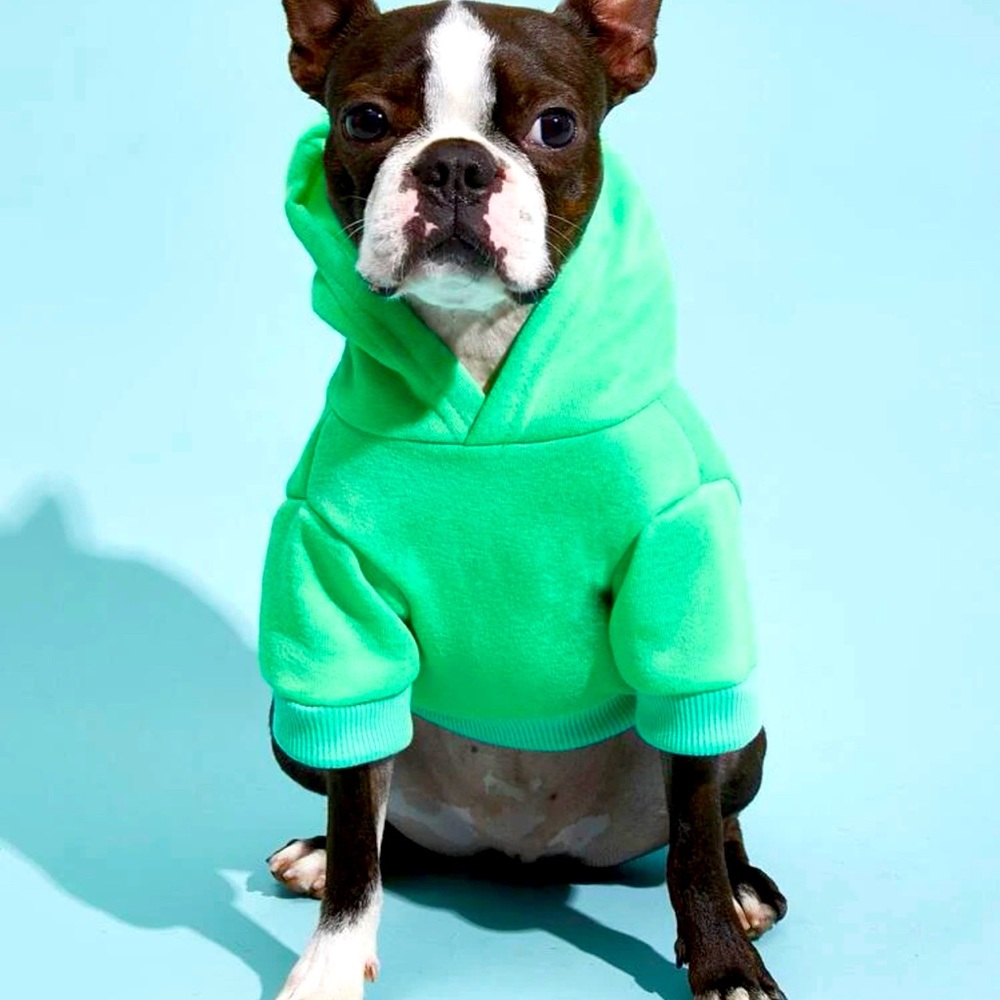 Dog Hoodie-I’m the reason we can’t have nice things